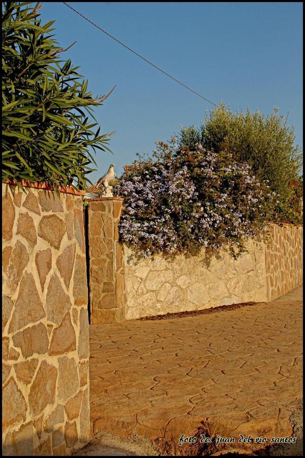 Mi Oasis Villa Conil De La Frontera Exterior photo